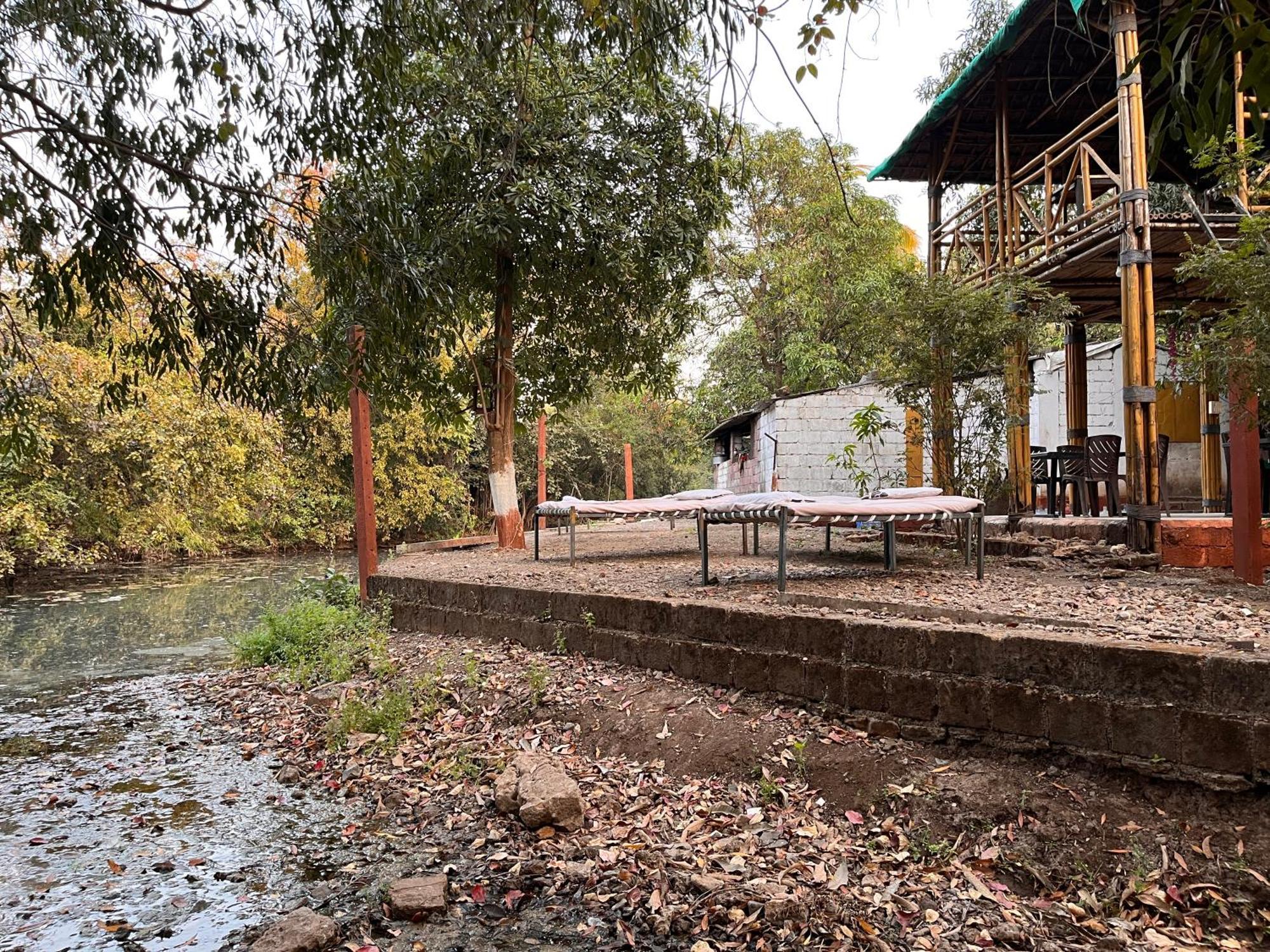 Brook Ville Sasan Gir Exterior foto