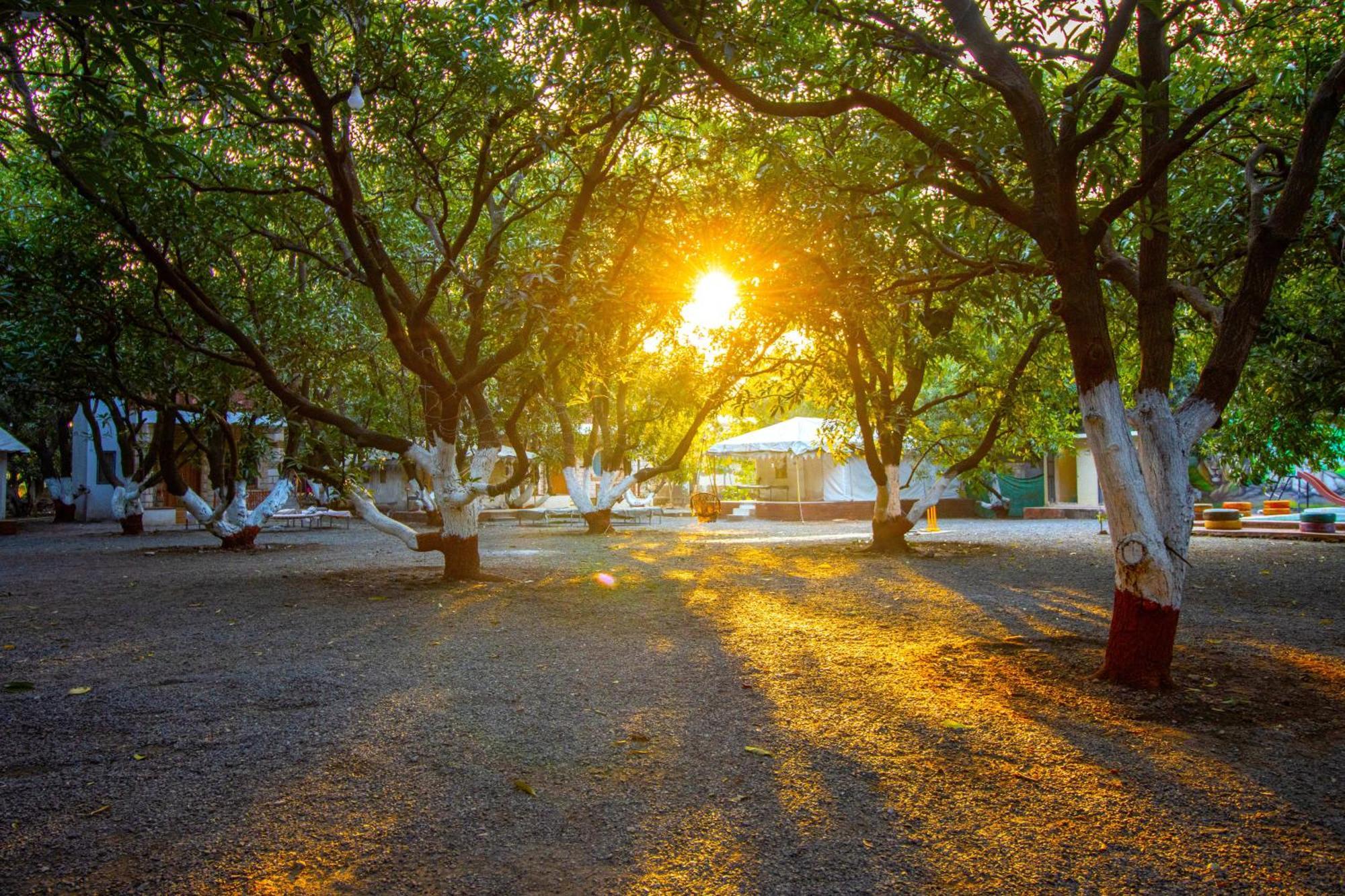 Brook Ville Sasan Gir Exterior foto