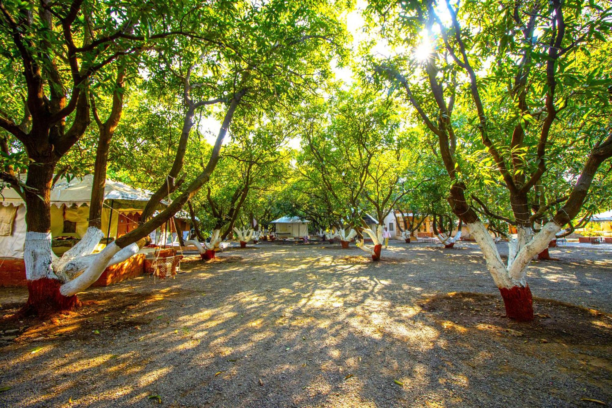 Brook Ville Sasan Gir Exterior foto