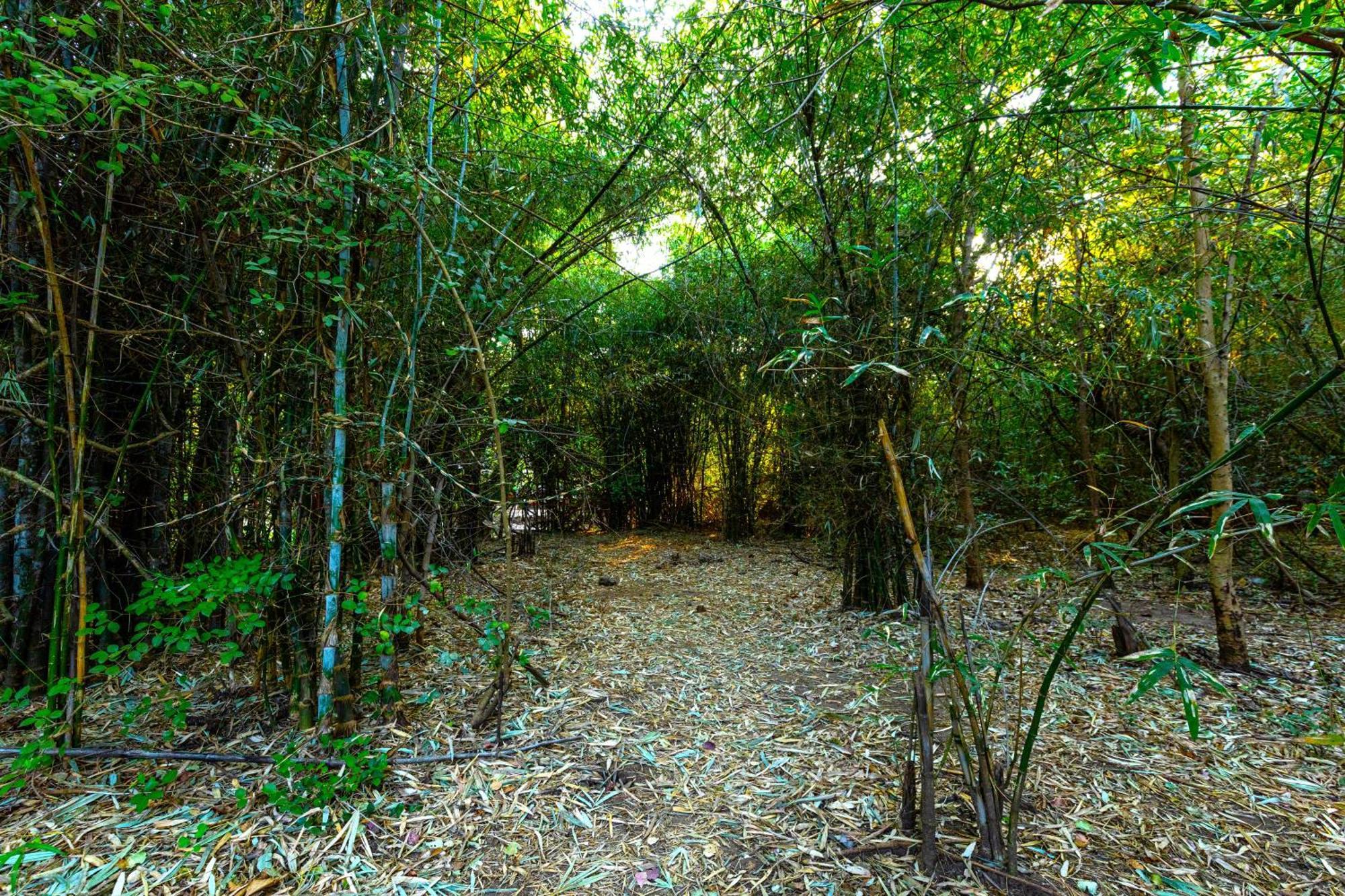 Brook Ville Sasan Gir Exterior foto